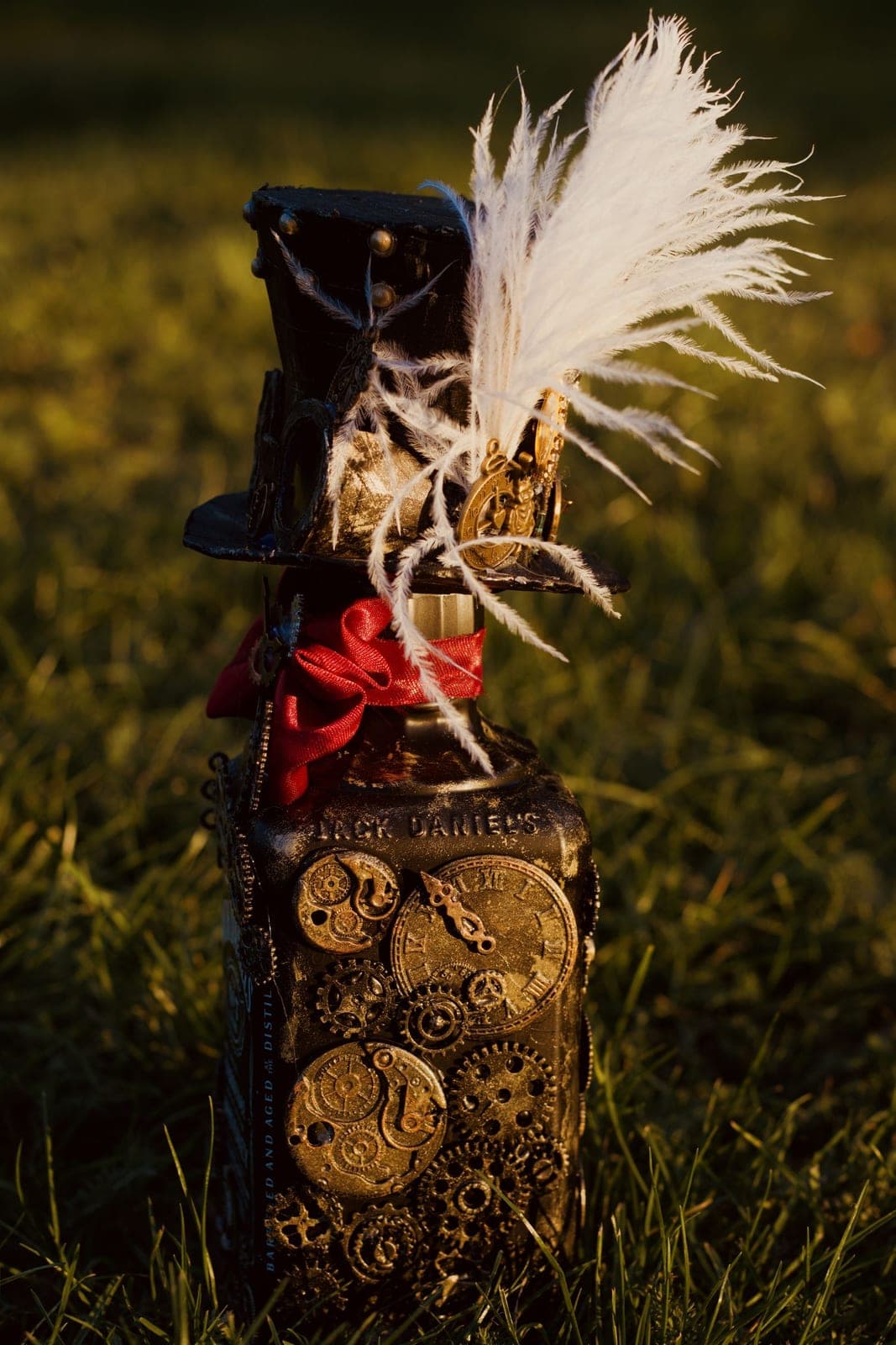 The ostrich feather, side on, in golden-hour grass